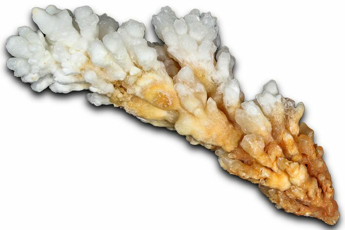 Sparkling Calcite/Aragonite Stalactite Formation - China #364552